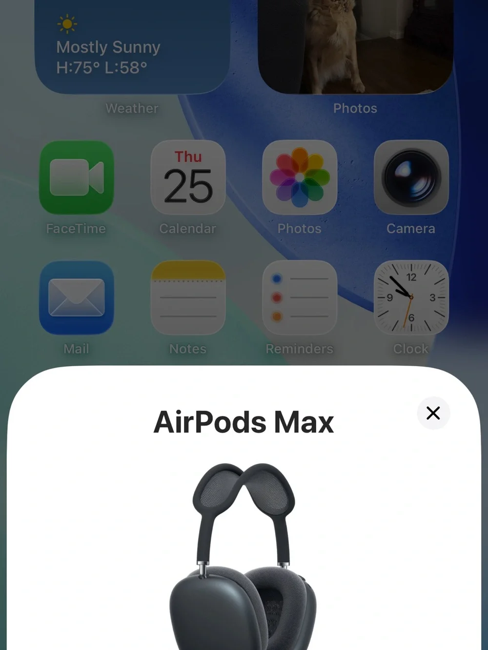 Apple Earbuds / Accessory Box with Black Silicone Case Accent